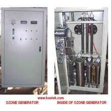 Hot Sale Ozone Generator Manufacturer